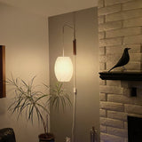 Mid-Century Walnut Bubble Sconce – Swivel Plug-In
