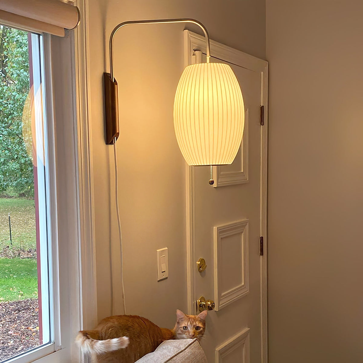 Mid-Century Walnut Bubble Sconce – Swivel Plug-In