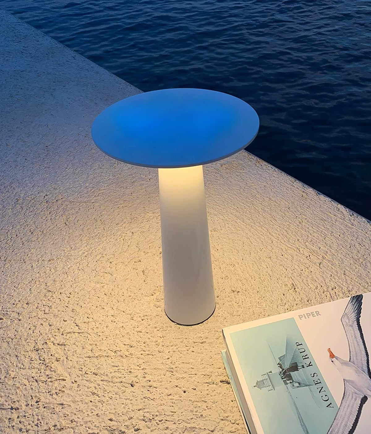 Modern Black Disc Table Lamp – Solar Lamp for Patio