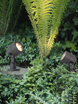 Wharton Industrial Black Stainless Steel Outdoor Spotlight