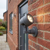 Wharton Industrial Black Stainless Steel Outdoor Spotlight