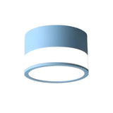 Modern Round Ceiling Light – Flush Mount Disc for Hallways